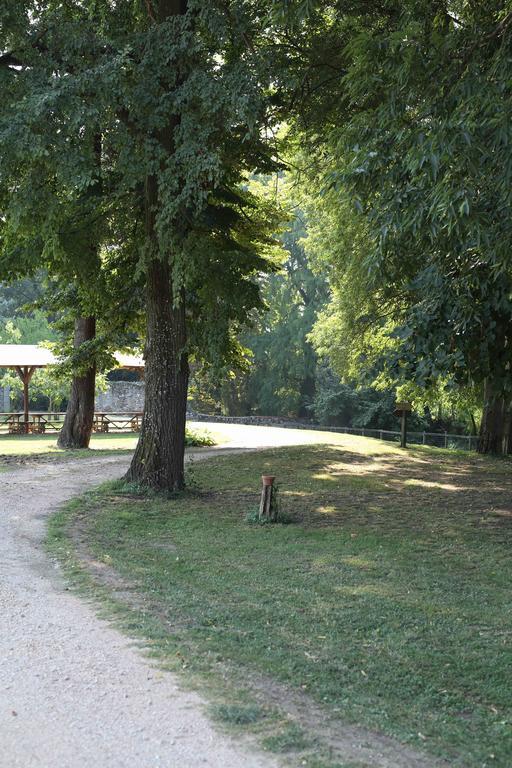 Agriturismo Corte Pellegrini Сан-Мартино-Буон-Альберго Экстерьер фото